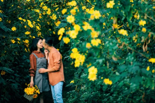 Hình nền thiên nhiên 98