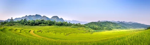 Hình nền thiên nhiên 104