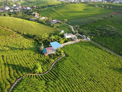 Hình nền thiên nhiên 109