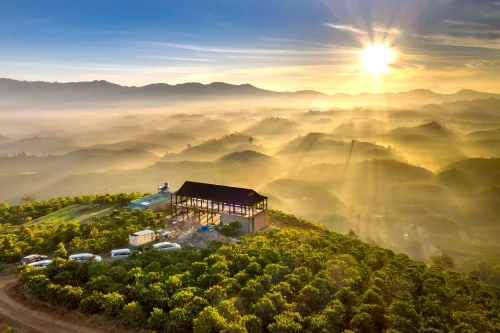 Hình nền thiên nhiên 111