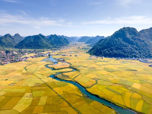 Hình nền thiên nhiên 115