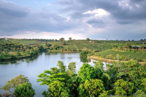Hình nền thiên nhiên 116