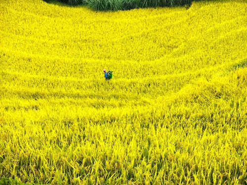 Hình nền thiên nhiên 118