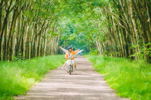 Hình nền thiên nhiên 125