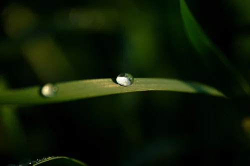 Hình nền tím 15