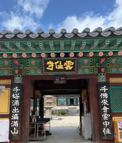 Hình nền tím 7