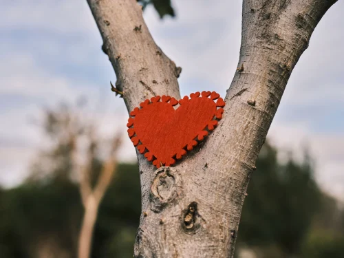 Hình nền trái tim 14