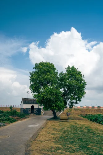 Hình nền trái tim 58
