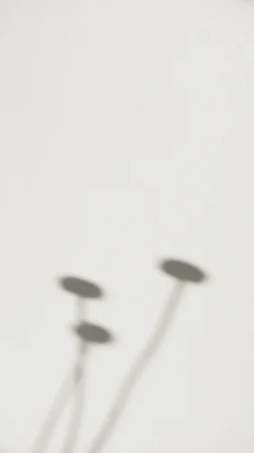 Hình nền trắng 4