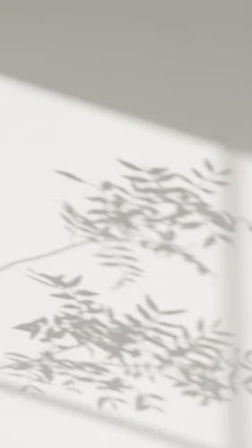 Hình nền trắng 81