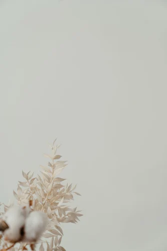 Hình nền trắng 146