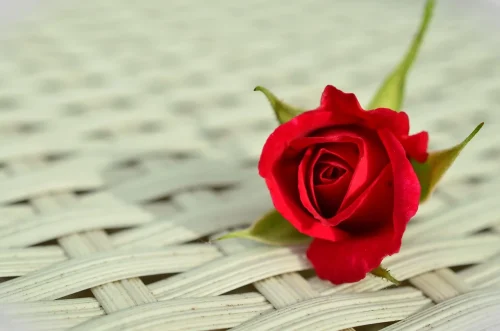 Hình nền Valentine 22