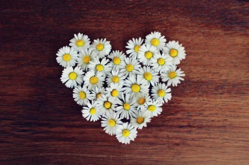 Hình nền Valentine 24