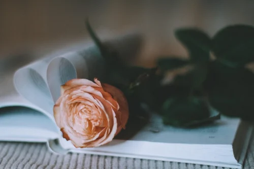 Hình nền Valentine 31