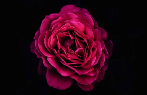 Hình nền Valentine 36
