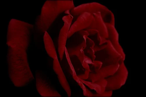 Hình nền Valentine 57