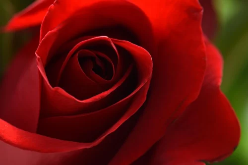 Hình nền Valentine 73