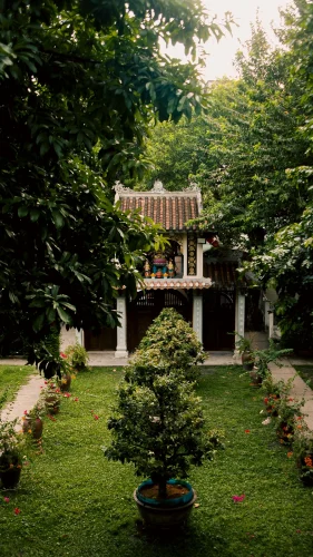 Hình nền Việt Nam 1