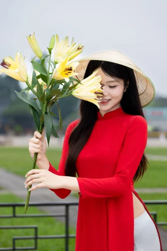 Hình nền Việt Nam 4
