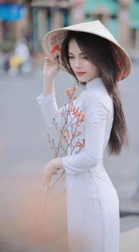 Hình nền Việt Nam 5