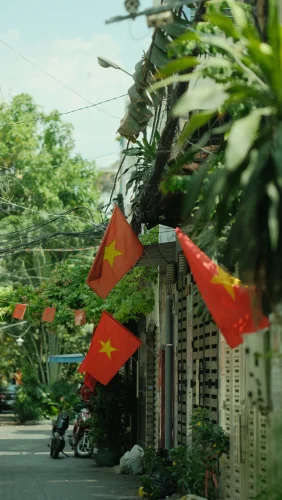 Hình nền Việt Nam 23