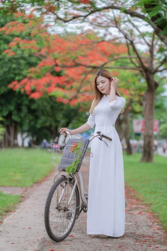 Hình nền Việt Nam 24