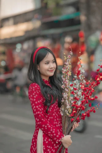 Hình nền Việt Nam 25