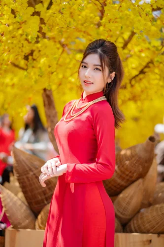 Hình nền Việt Nam 26