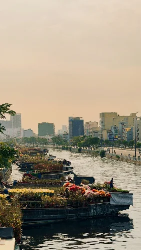 Hình nền Việt Nam 40