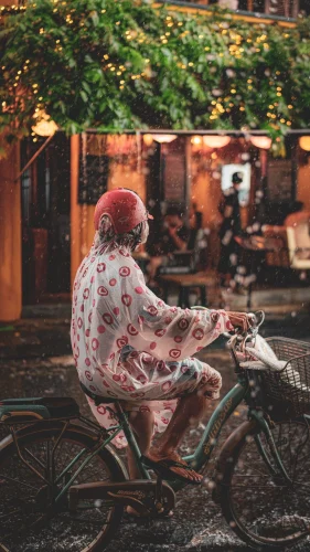 Hình nền Việt Nam 49