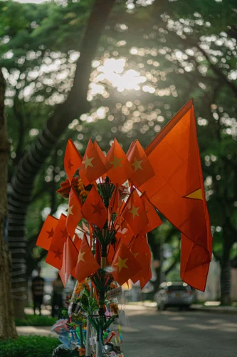 Hình nền Việt Nam 54
