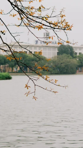 Hình nền Việt Nam 59