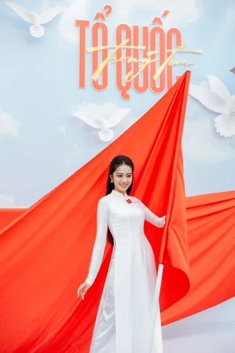 Hình nền Việt Nam 65