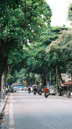 Hình nền Việt Nam 66