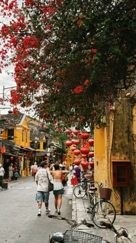 Hình nền Việt Nam 68