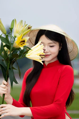 Hình nền Việt Nam 72