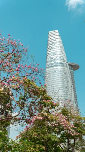 Hình nền Việt Nam 79
