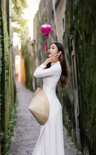 Hình nền Việt Nam 102