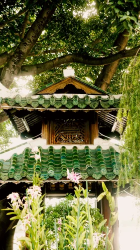 Hình nền Việt Nam 108