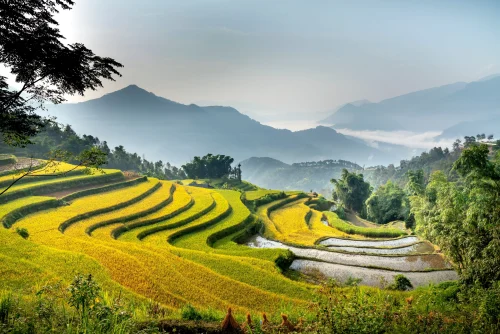 Hình nền Việt Nam 20