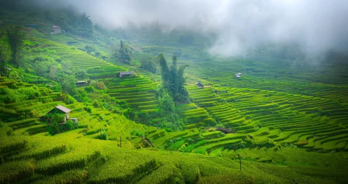 Hình nền Việt Nam 22