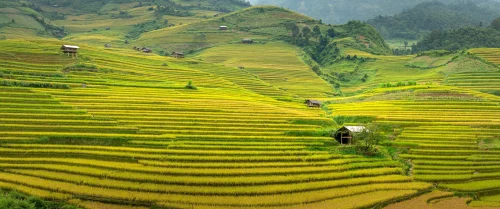 Hình nền Việt Nam 28