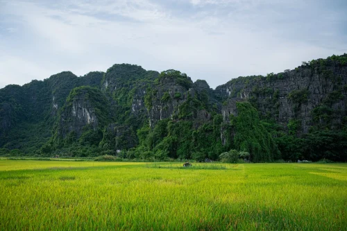 Hình nền Việt Nam 29