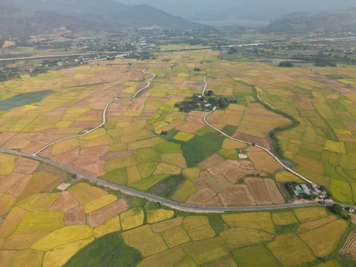 Hình nền Việt Nam 31