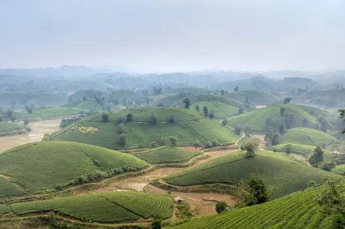 Hình nền Việt Nam 32
