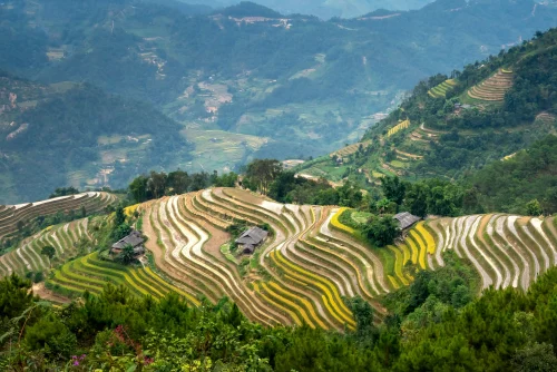 Hình nền Việt Nam 36