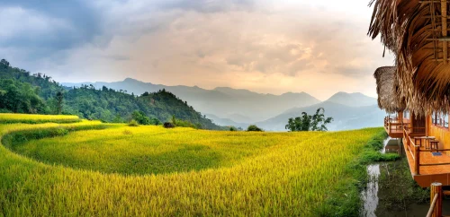 Hình nền Việt Nam 44