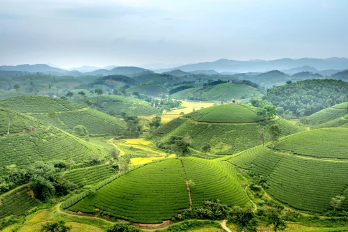 Hình nền Việt Nam 46