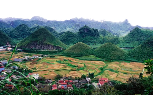 Hình nền Việt Nam 52