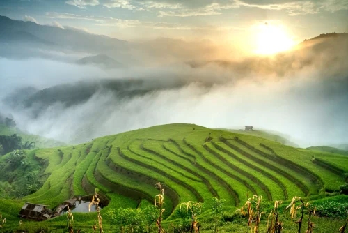 Hình nền Việt Nam 56